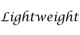Highend Laufr�der Lightweight, Die neuen Vollcarbon Laufr�der von Lightweight stellen alles ds gewesene in den Schatten. Die Meilenstein wurden am Harz und an den Bremsflanken �berarbeitet.