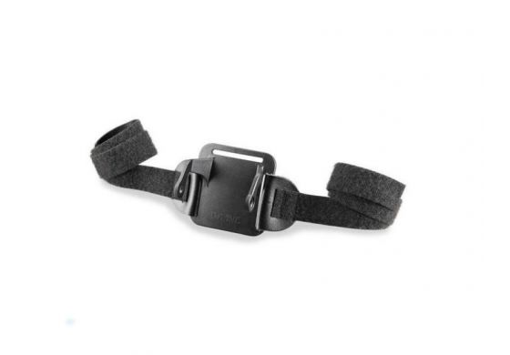 Lupine Helmhalter Betty R