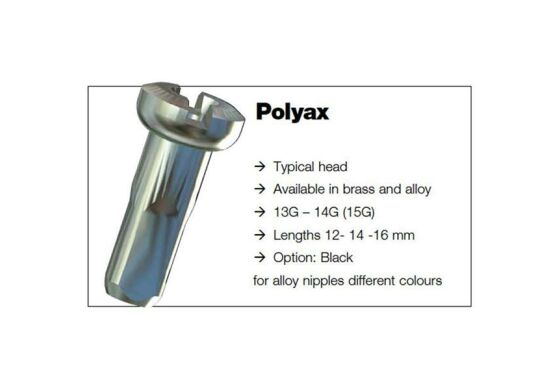 Sapim Polyax Messing Brass Nippel 2mm 14mm SILS