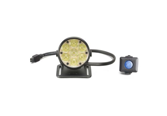 Lupine Betty R Lampenkopf 45W